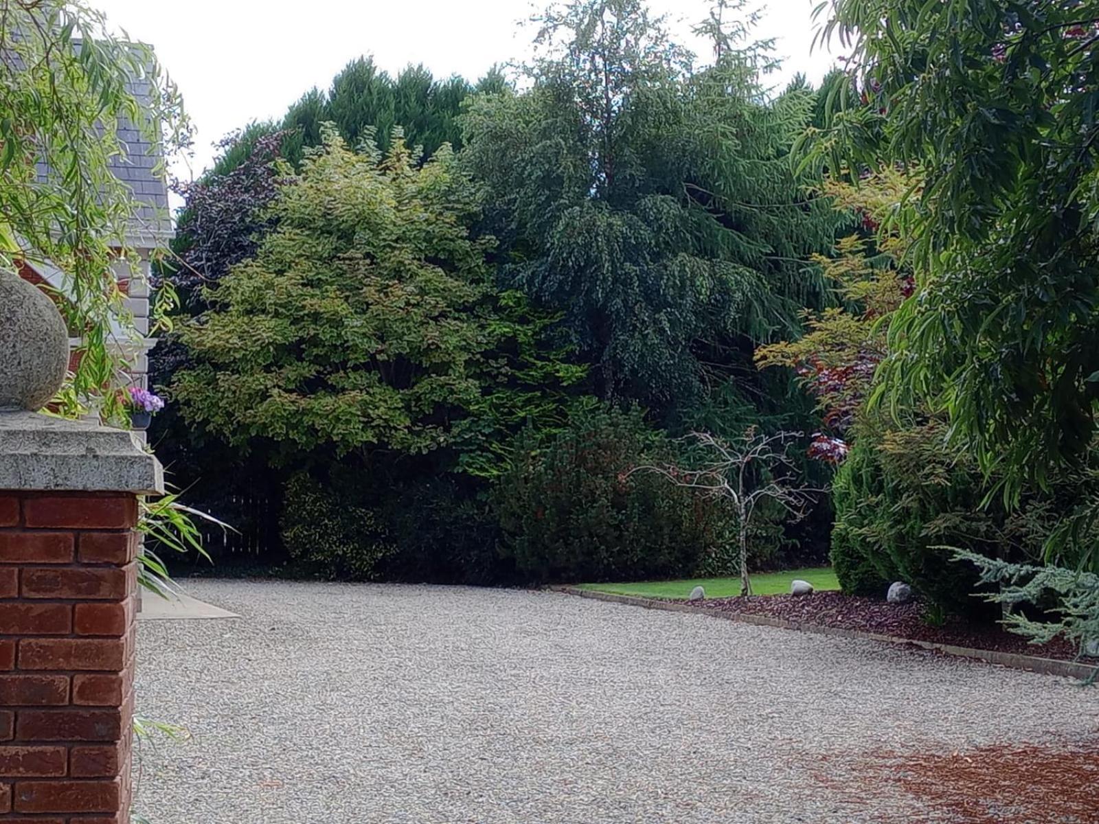 Tullynacrunat Lodge Castleblayney Eksteriør billede